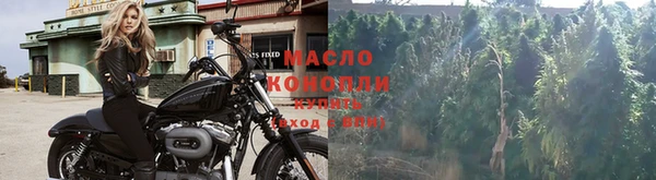спиды Новозыбков