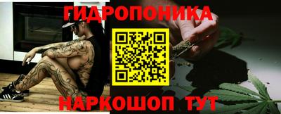 крисы Волжский