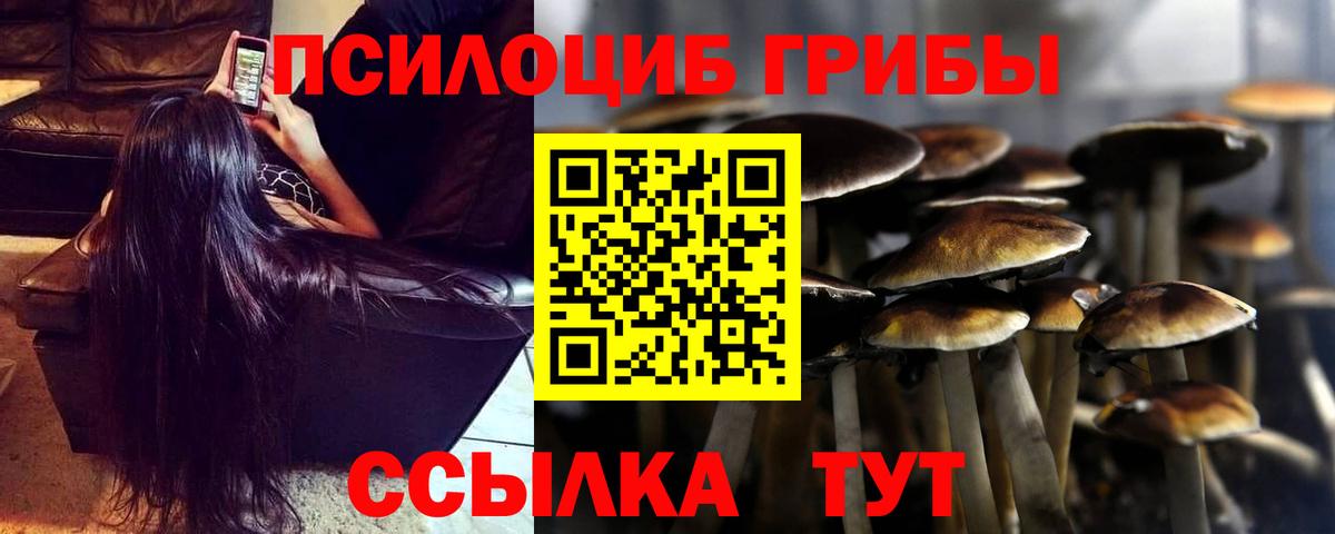 Псилоцибиновые грибы Cubensis  Лысьва 